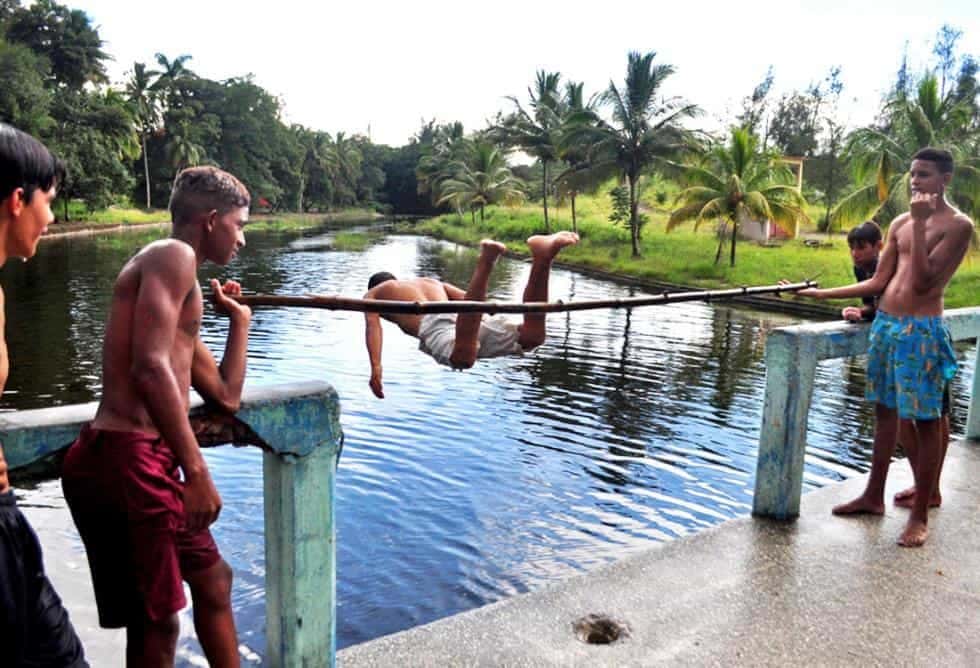 Clavadistas de aguas negras