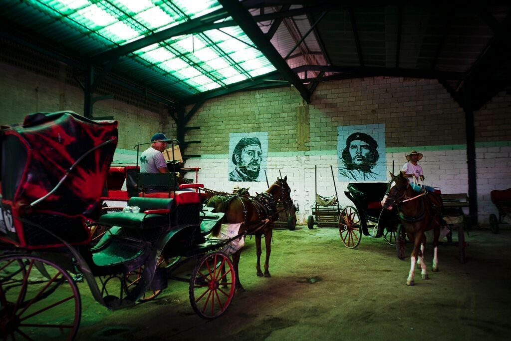 En esta foto del 14 de junio de 2019, los carruajes tirados por caballos que se usan para dar paseos a los turistas están estacionados en el garaje de una cooperativa, bajo los murales de Fidel Castro y Ernesto "Che" Guevara, en La Habana, Cuba. (AP Foto / Ramón Espinosa)