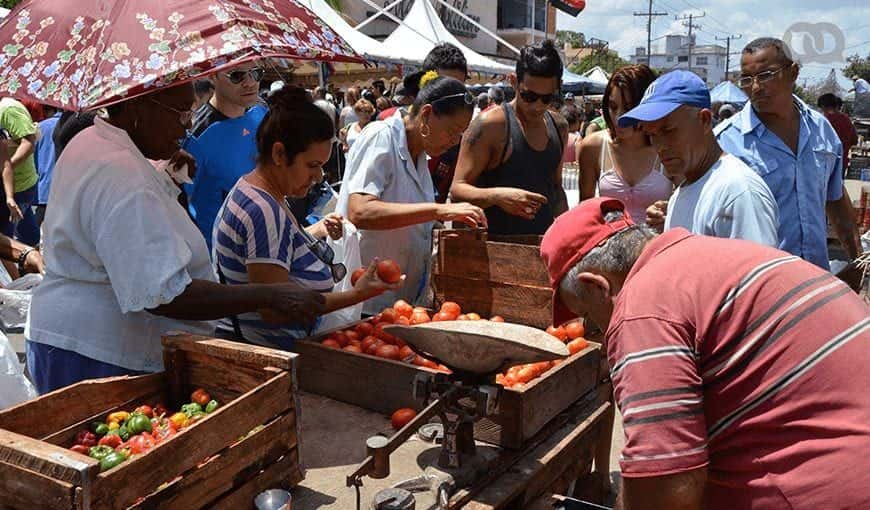 Cuba’s Self-Employed Demand Legal Advice and Support
