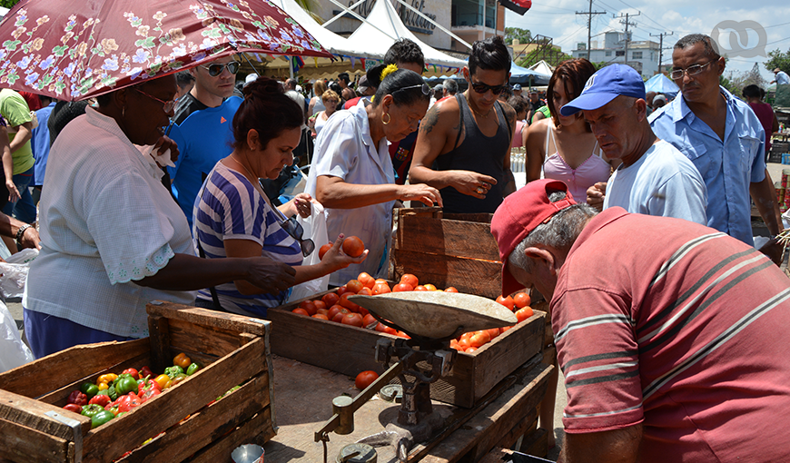 Los cuentapropistas representan el 13% de la fuerza laboral en Cuba. Foto: Jorge Beltrán.