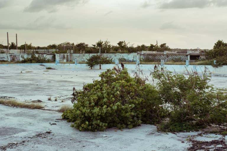 una_piscina_abandonada:_spot_clandestino_de_los_skaters_de_la_habana