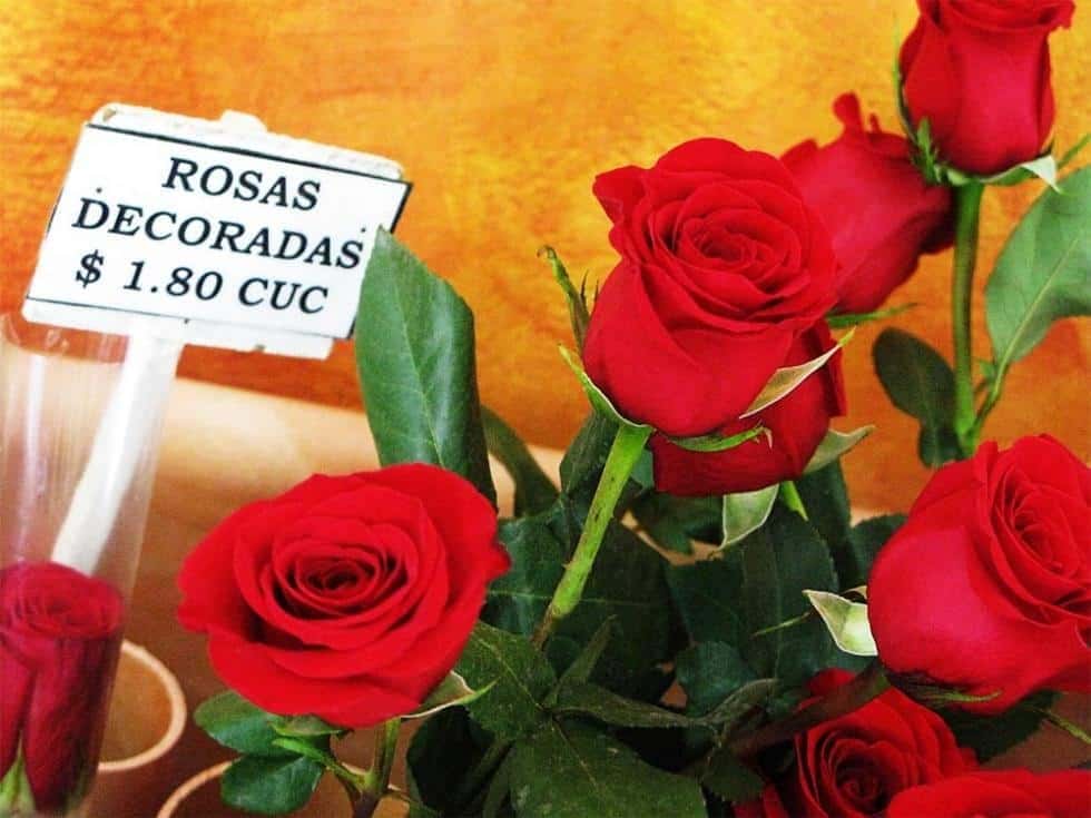Ladrona de flores