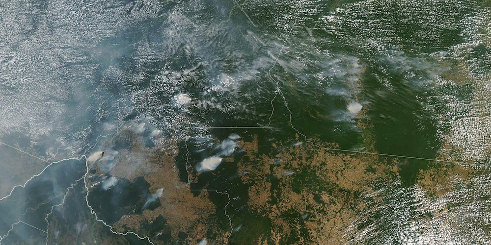 Preguntas y respuestas sobre los incendios en la selva amazónica