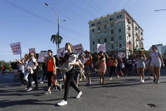 ¿Qué preocupa a los protectores de animales en Cuba?