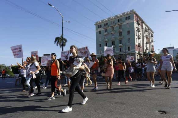 Los panelistas Sergio Boris Concepción, de CeDa, Odalis Jaramillos, Beatriz Batista y Sahily Naranjo, protectores independientes, también participaron en la peregrinación del 7 de abril, que abogó por una Ley de Protección Animal en Cuba. Foto: Jorge Luis Baños_IPS