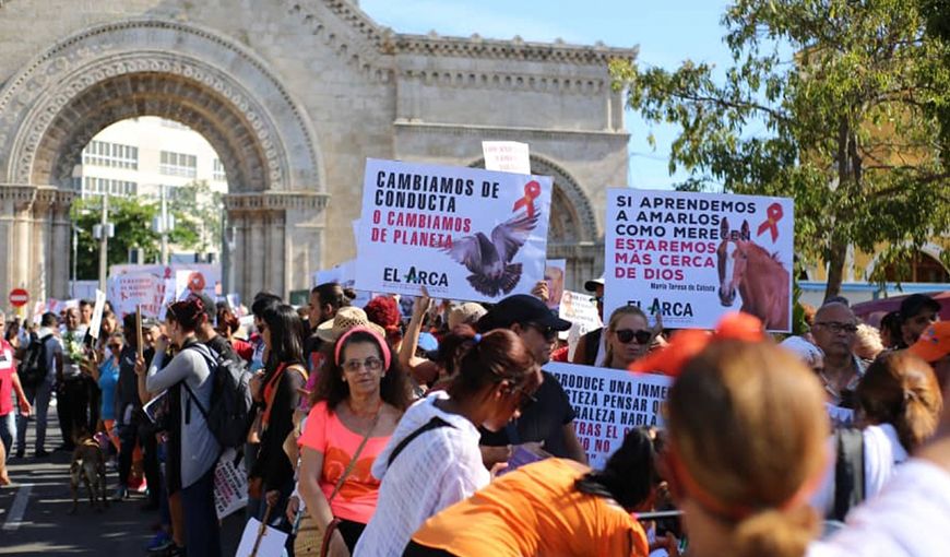¿Qué lecciones deja a los cubanos la marcha animalista del 7 de abril?