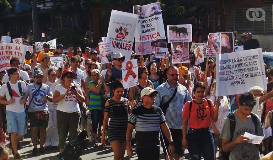 Los defensores de animales se movilizaron en una marcha masiva desde el parque El Quijote en 23 y J hasta la tumba de la protectora de niños y animales, Jeannette Ryder, en el cementerio de Colón. Foto: Pedro Sosa Tabio.
