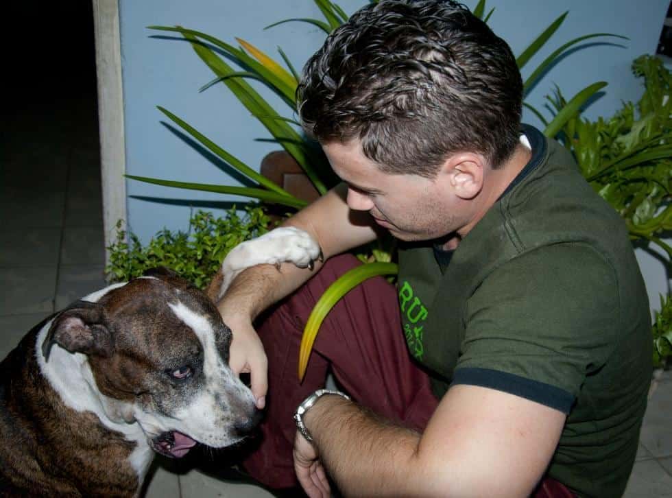 Una mascota potencialmente peligrosa