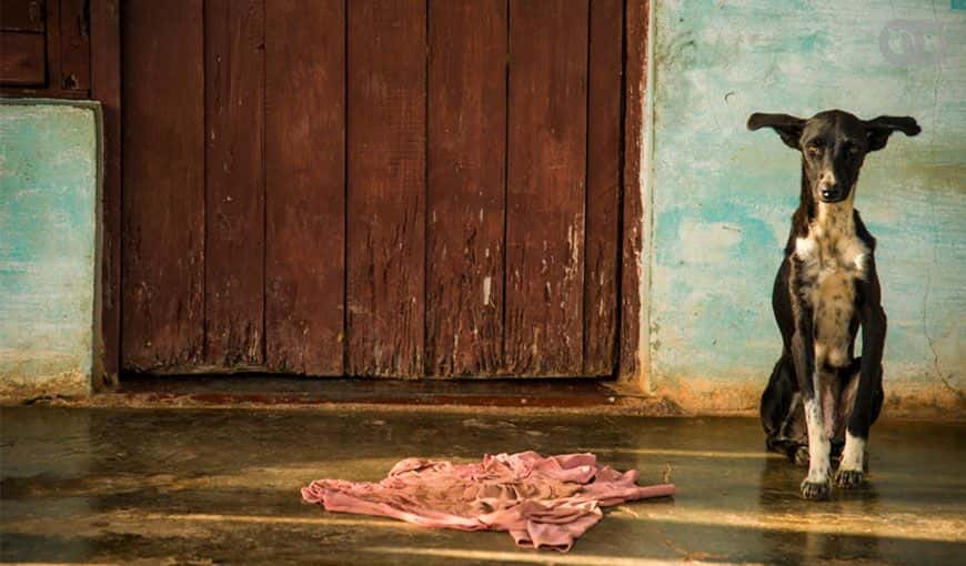 Necrofilia constitucional