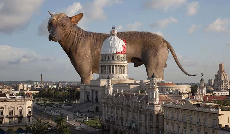 Foto: Gabriel Guerra Bianchini. Tomada del perfil de Facebook del artista. 