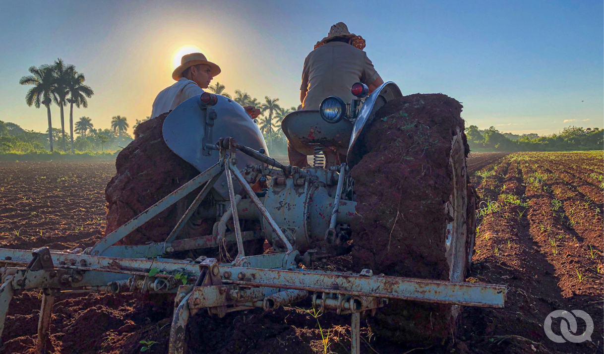 Sembrar sin riego, los malabares del campesino Luis