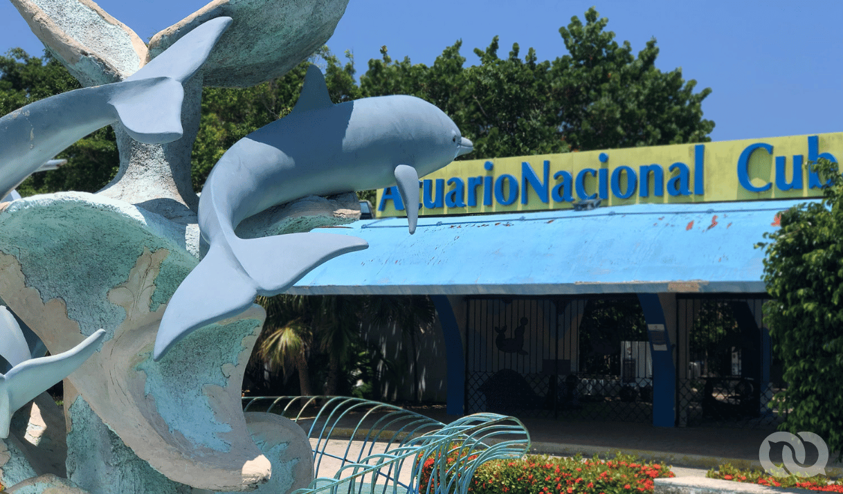 Acuario Nacional de Cuba, entre el deterioro y la inflación