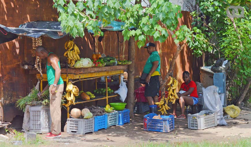Puesto de venta privado de productos agropecuarios en Cuba. Foto: Miguel Suárez.