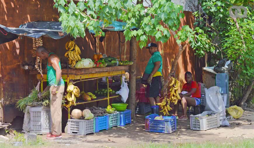 Puesto de venta privado de productos agropecuarios en Cuba. Foto: Miguel Suárez.