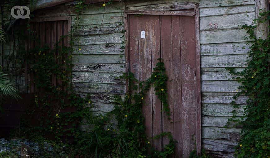 Foto: Sadiel Mederos Bermúdez