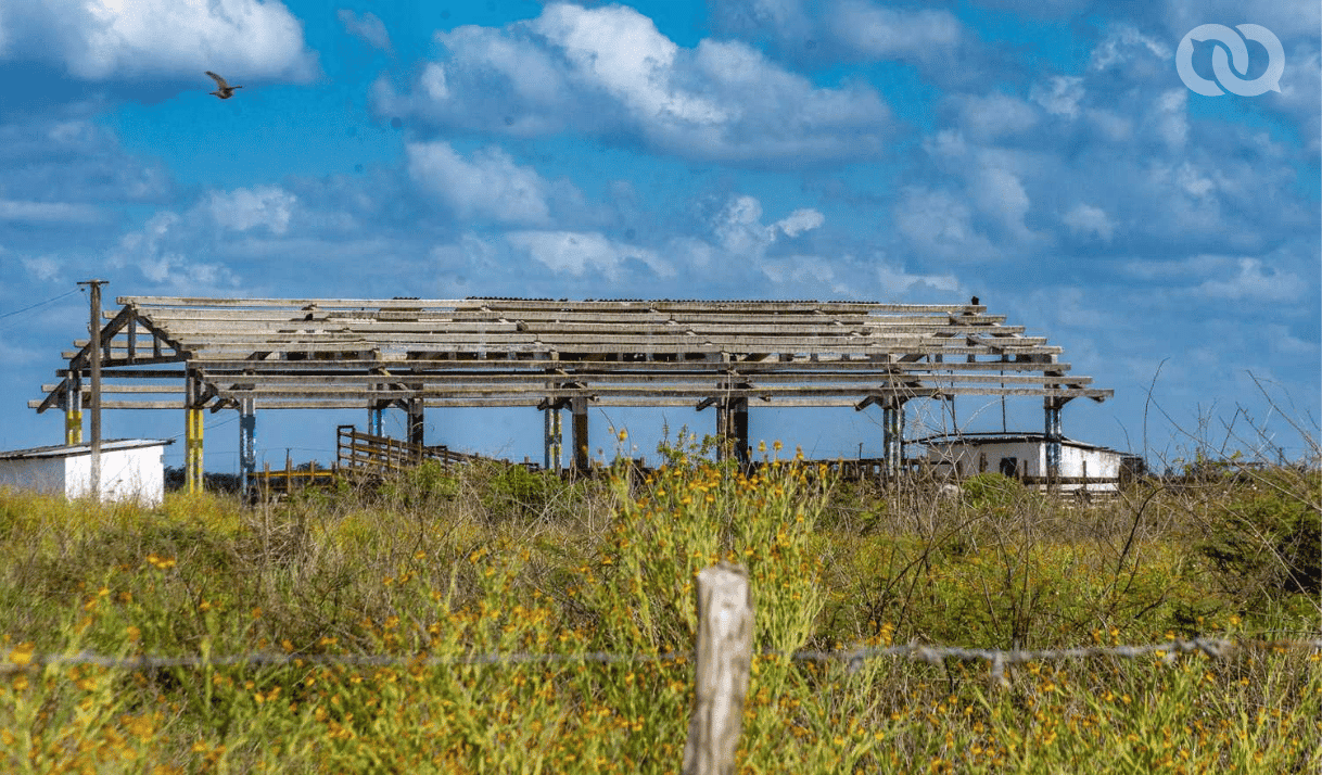 Foto: Sadiel Mederos