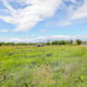 Preview of property Land At Station Road, Errol, PH2 7SN - 3