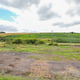 Preview of property Former Mosside Transport Cafe, Grantshouse, Duns, TD11 3RW - 9
