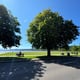 Preview of property 12 Poltalloch Street, Lochgilphead, PA31 8LP - 18