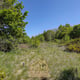 Preview of property Corner Plot Morris Road, Newton Grange, EH22 4ST - 9