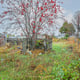 Preview of property Land at 2 Wellington Terrace, Keith, AB55 5BY - 1