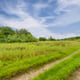 Preview of property Land At South East Of Manchester Road, Warrington, WA3 6JZ - 2