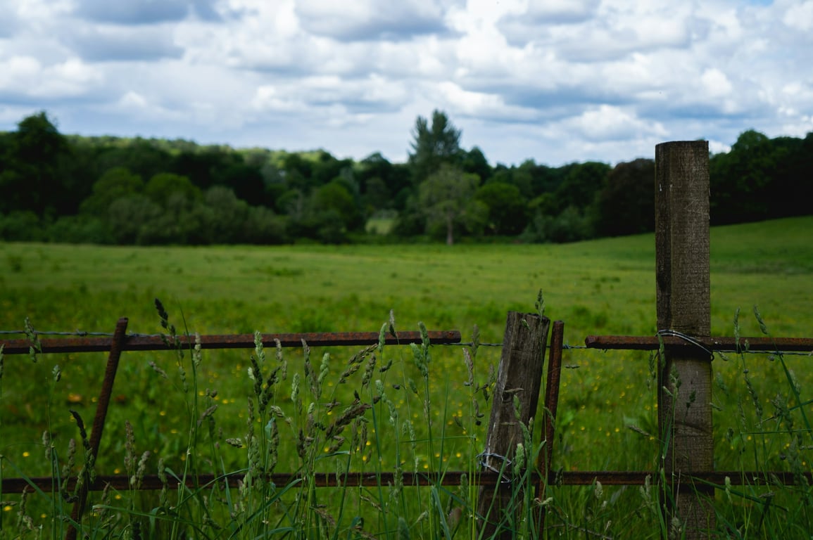 Decorative shot of relevant property type