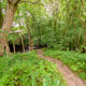 Preview of property Land At South East Of Manchester Road, Warrington, WA3 6JZ - 10