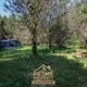 Preview of property Land At Bailey Mill Near Kielder Forest, Cumbria, TD9 0TR - 13