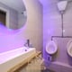 Preview of property Struths Bar, Larkhall, ML9 1DX - 7