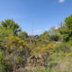 Preview of property Corner Plot Morris Road, Newton Grange, EH22 4ST - 10