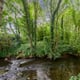 Preview of property Land At South East Of Manchester Road, Warrington, WA3 6JZ - 11