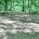 Preview of property Plot 6 near Cadham Square, Glenrothes, KY7 6PL - 2