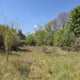 Preview of property Corner Plot Morris Road, Newton Grange, EH22 4ST - 17