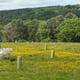Preview of property Plot Of Land Near Downingbury Farm House, Kent, TN2 4AD - 1