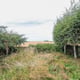 Preview of property 3 Newbigging Farm Cottages, Montrose, DD10 9LF - 24