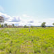 Preview of property Land At Station Road, Errol, PH2 7SN - 4