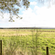 Preview of property Land At Luthermuir, Laurencekirk, AB30 1BA - 8