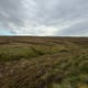 Preview of property Land at The Burn Of Laxdale, Shetland, ZE2 9HB - 8