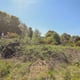 Preview of property Corner Plot Morris Road, Newton Grange, EH22 4ST - 23