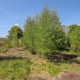 Preview of property Corner Plot Morris Road, Newton Grange, EH22 4ST - 15