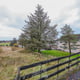 Preview of property Land At Sheilhill Road, Longriggend, Airdrie, ML6 7TR - 7