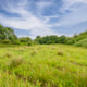 Preview of property Land At South East Of Manchester Road, Warrington, WA3 6JZ - 3