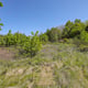 Preview of property Corner Plot Morris Road, Newton Grange, EH22 4ST - 26
