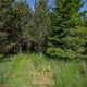Preview of property Land At Bailey Mill Near Kielder Forest, Cumbria, TD9 0TR - 8