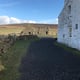 Preview of property Hillsgarth Baltasound, Unst, Shetland, ZE2 9DY - 19
