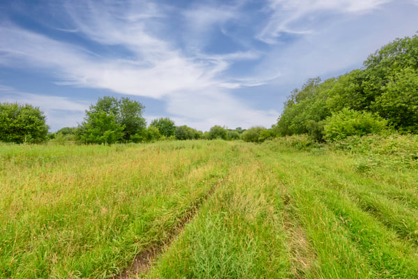 Preview of property Land At South East Of Manchester Road, Warrington, WA3 6JZ