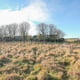 Preview of property Land At Ceolmara Findon Road, Porlethen, AB12 3RN - 3