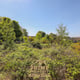 Preview of property Corner Plot Morris Road, Newton Grange, EH22 4ST - 20