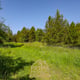 Preview of property Land At Bailey Mill Near Kielder Forest, Cumbria, TD9 0TR - 3